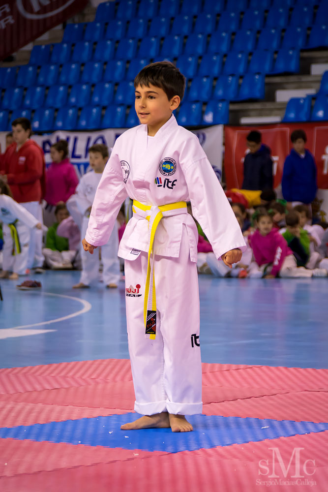 TAEKWONDO CAMPEONATO PAREJAS ABRIL 2018_1733.jpg